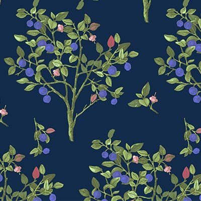 Hand drawn Blueberry bushes