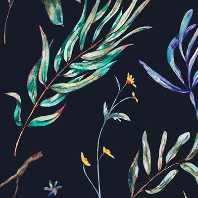 Watercolor flowers, branches and leaves on black