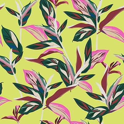 Paradise flower on green