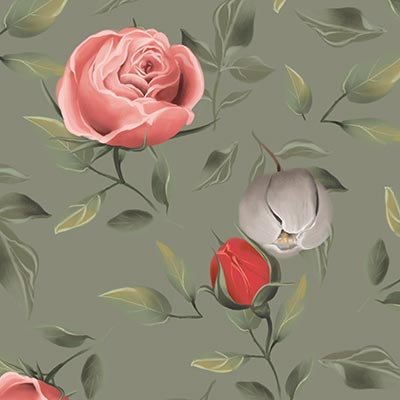 White and pink roses