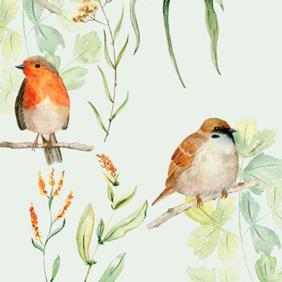 Watercolor plants and birds on branches