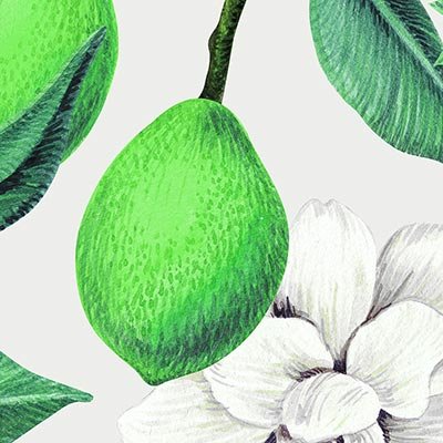 Limes with white flowers