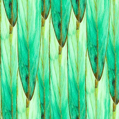 Watercolor green feathers