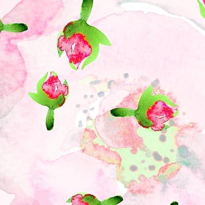 Watercolor rose buds