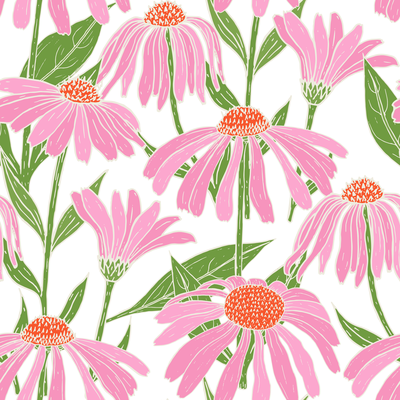 Pink Daisies on White