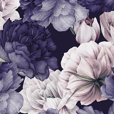 Purple peonies