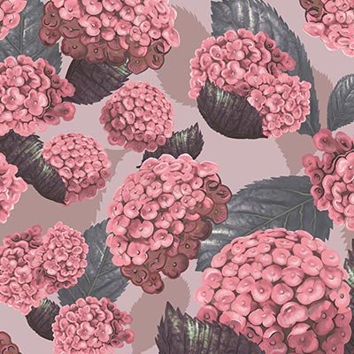 Pink hydrangeas