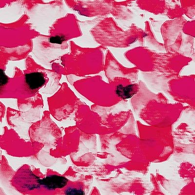 Watercolor roses in magenta