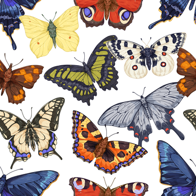 Butterflies in different colors
