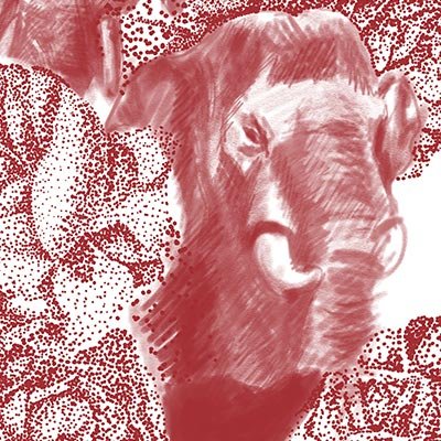 Red elephants and roses