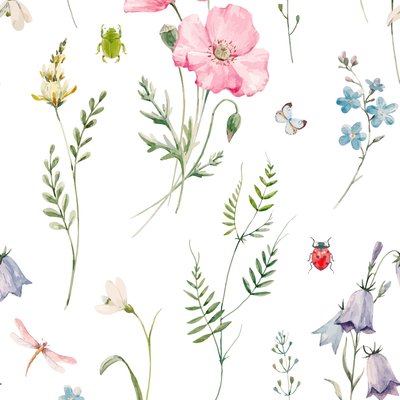 Watercolor insects and flowers