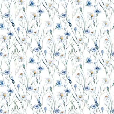 Cornflowers and daisies