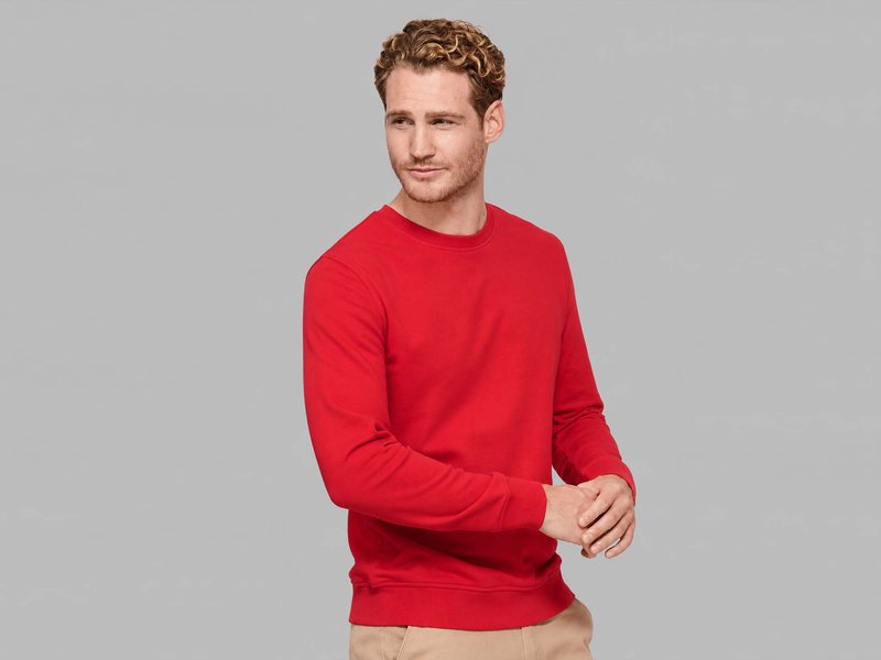 SOL'S Comet Organic Crewneck Sweatshirt image 1