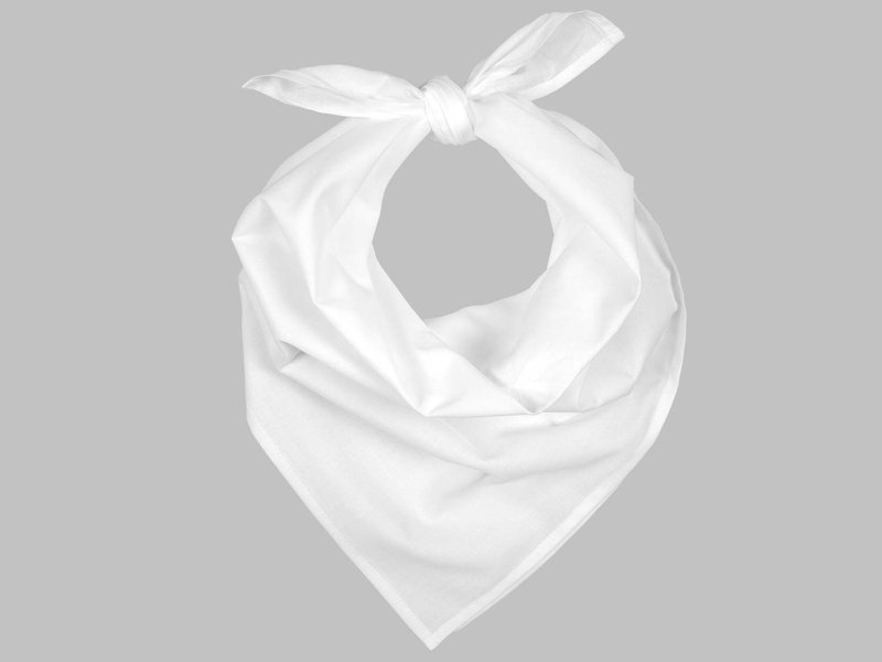 Cotton Bandana image 4