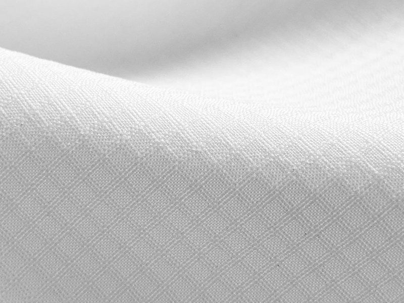 Poly Dobby main image