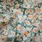 Poplin Eco image 1